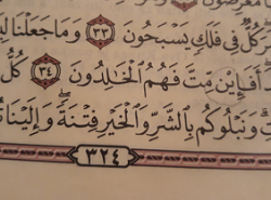 Kako se čita ova riječ u suri Al Anbija 34 ajet?
