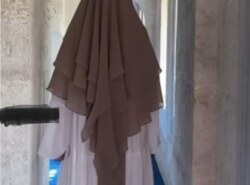 Da li su dozvoljeni hidžabi – himari sa ovim slojevima kao na slici?